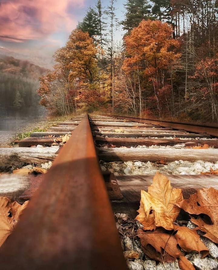 #a railroad track