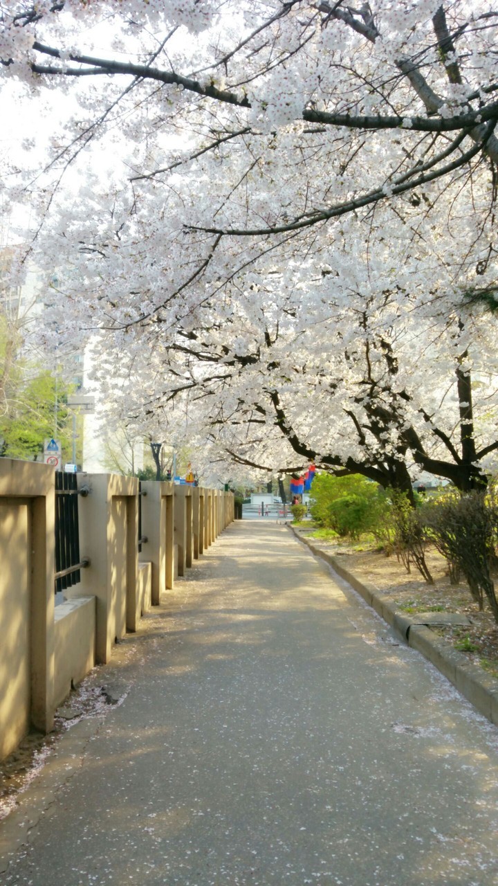 은순언니  배경사진