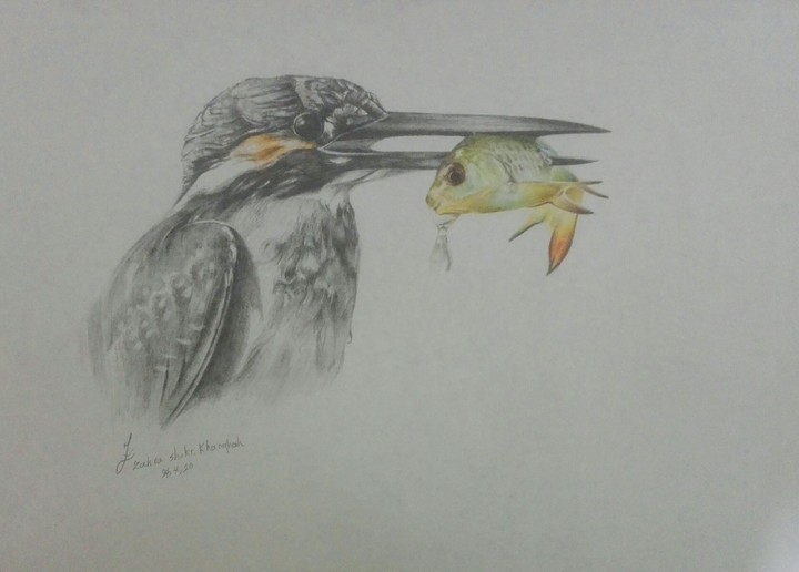 fish