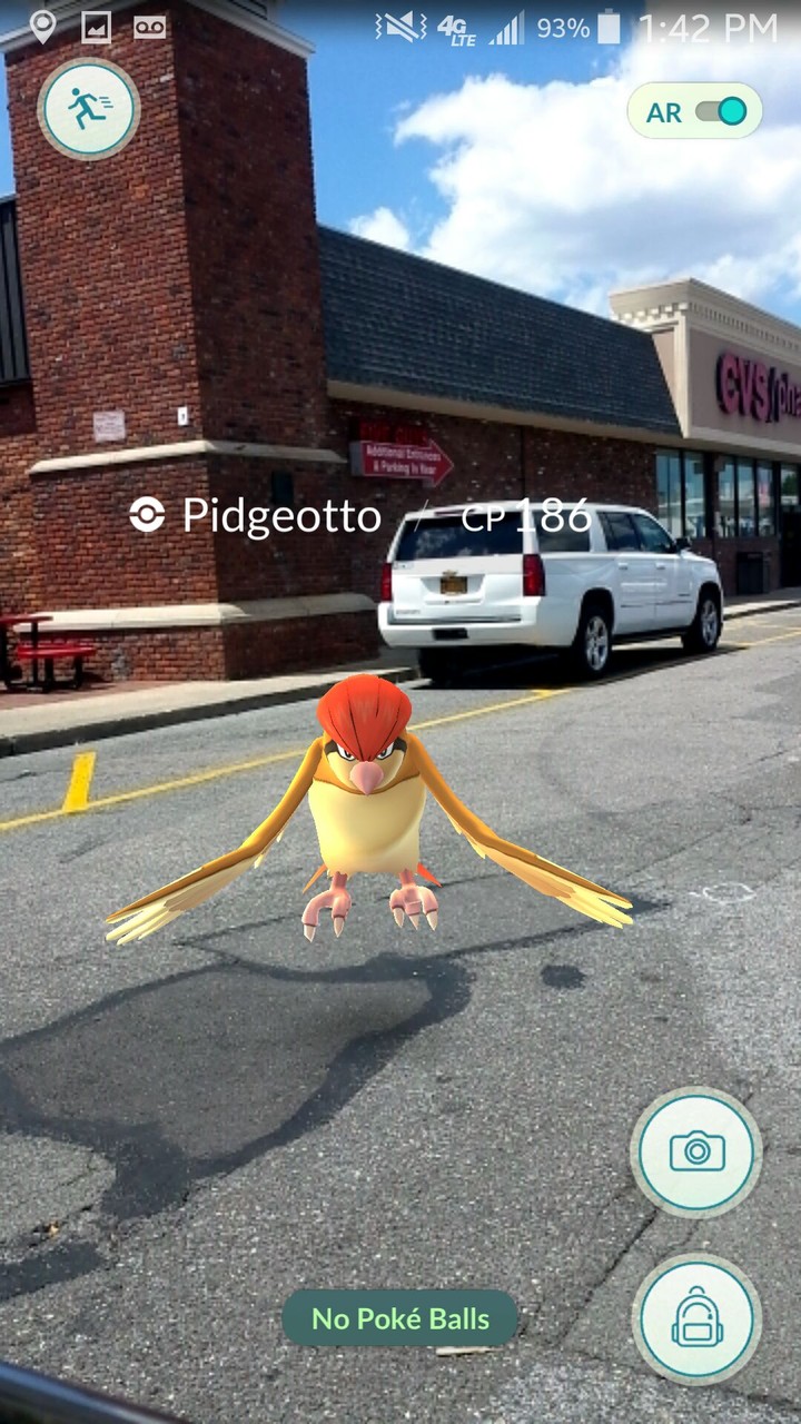 pidgeotto