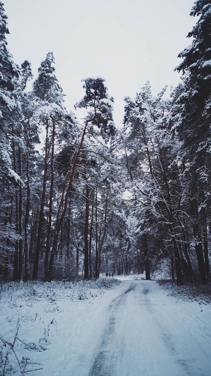 winter time