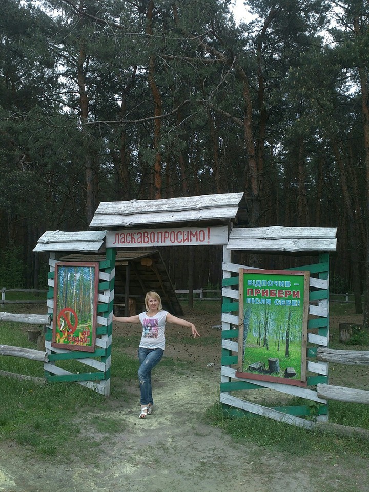 Лес.