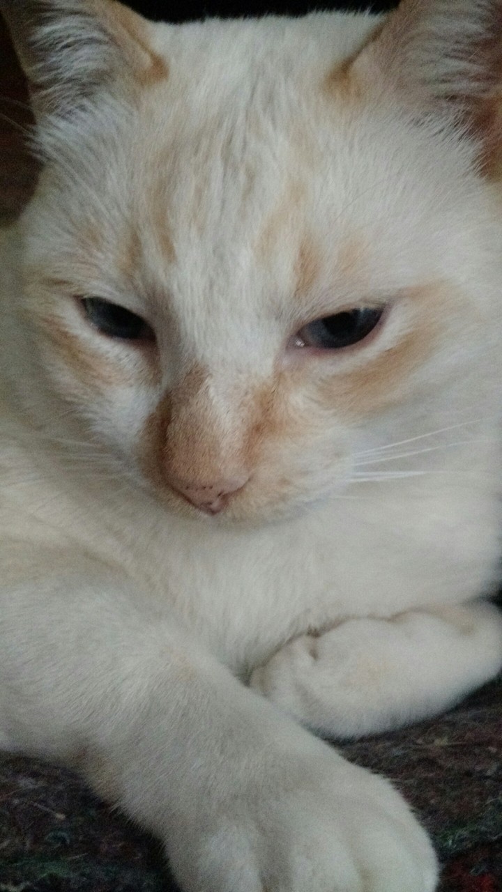 -_-