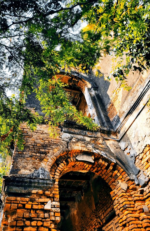 hình nền tree, brick