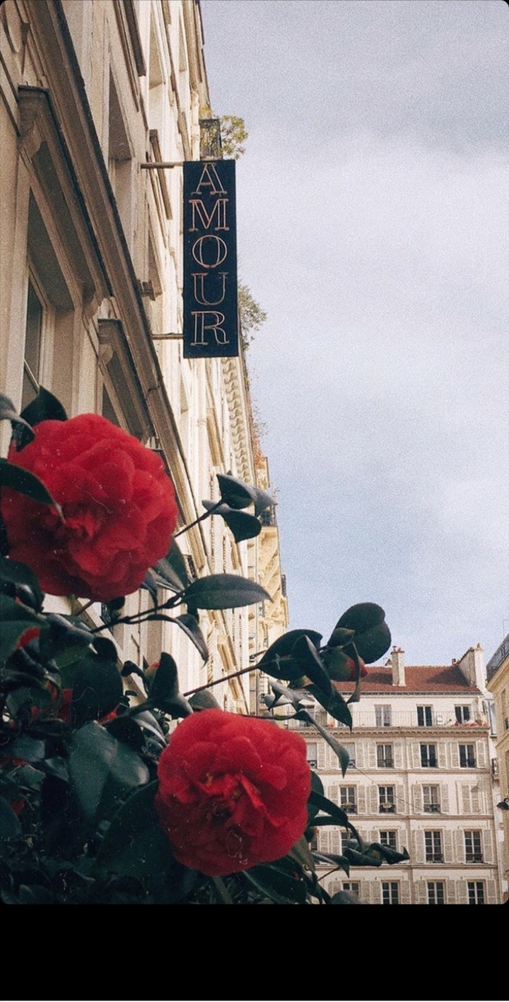 Beautiful flower!