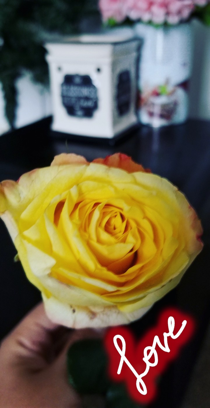 Love