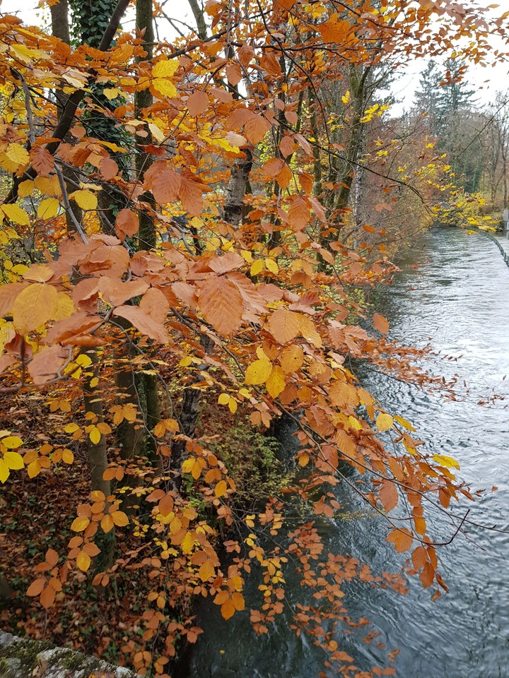 Herbst