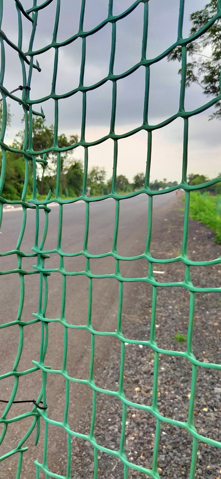 cage