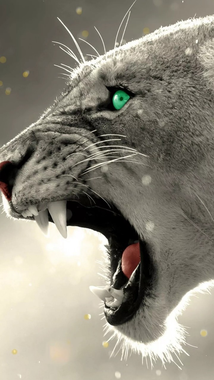 wildness