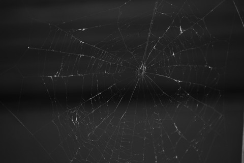 #Spider's web