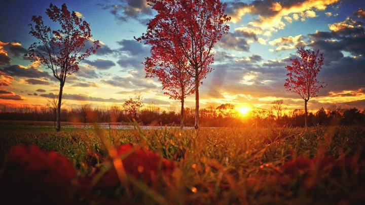 Beautiful Sun Set