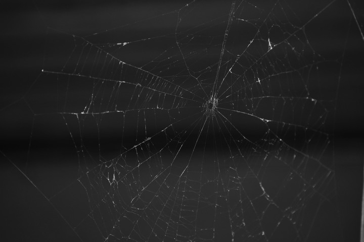 #Spider's web