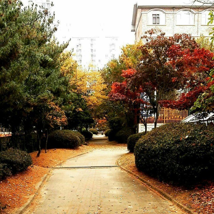 Autumn