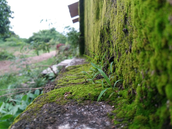 old house