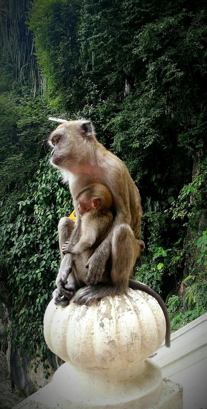 malaysia