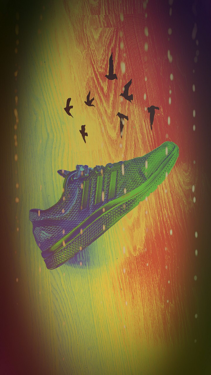 adidas bounce