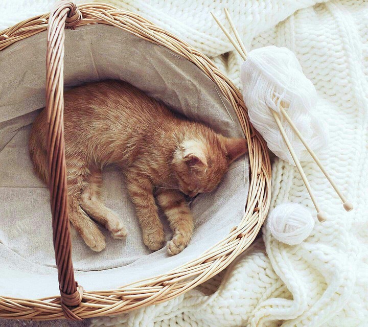sweeeeeeet........♥