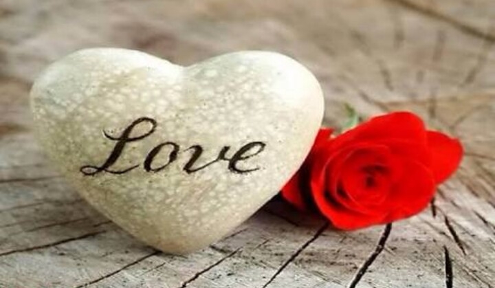 amor
