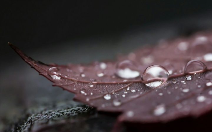 Drops