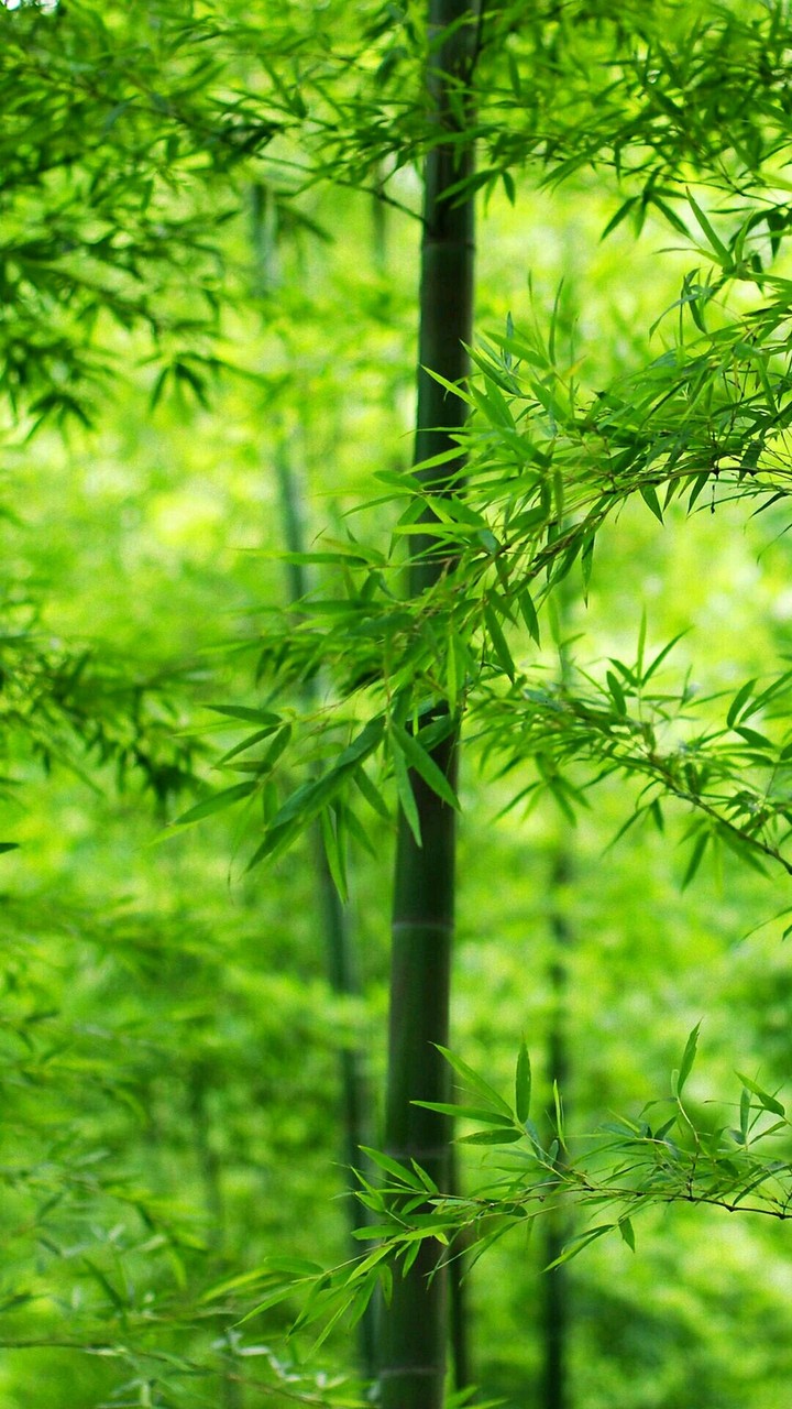 GREEEEN