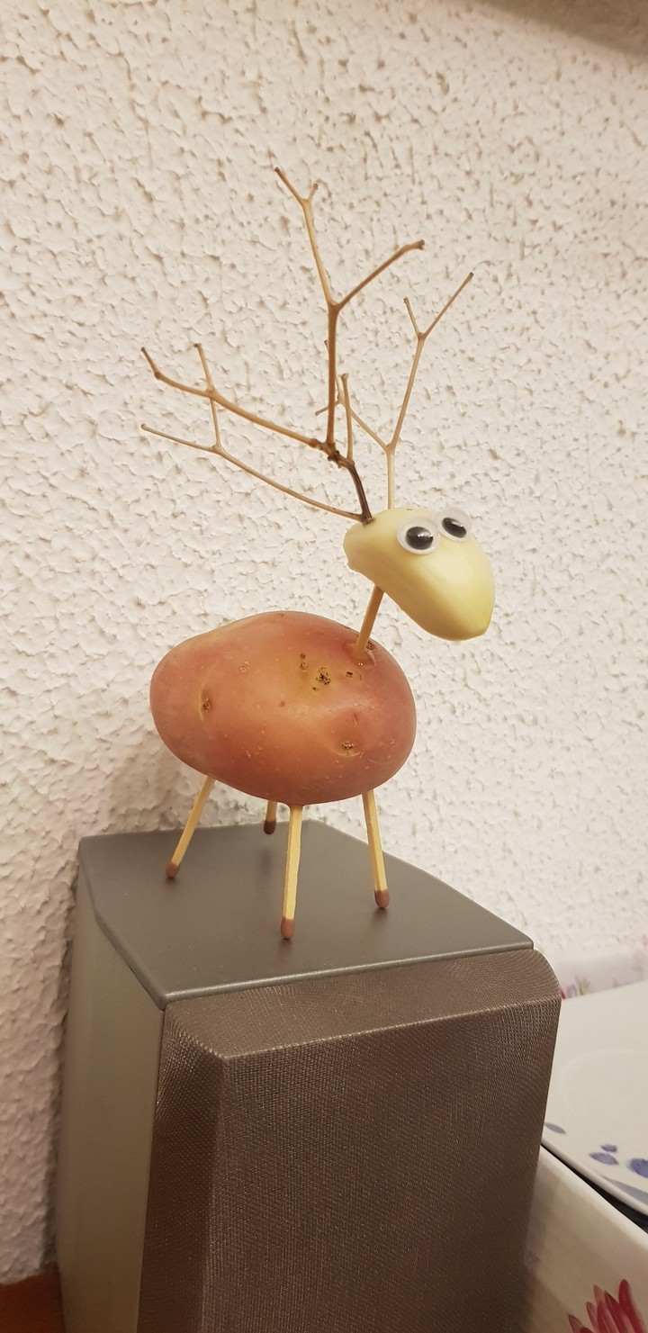 Deer