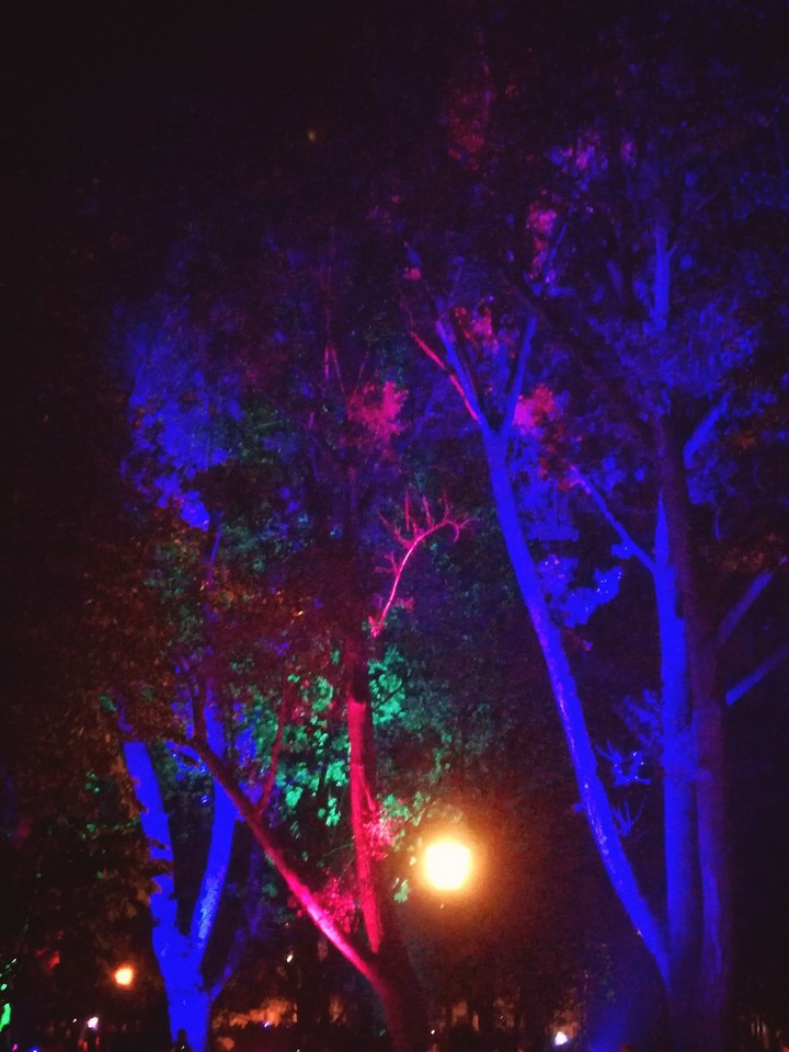 Colour trees