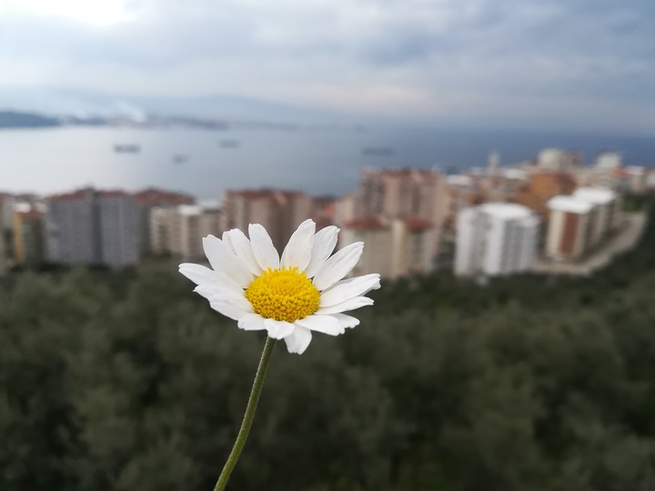 mutlu ve huzurlu