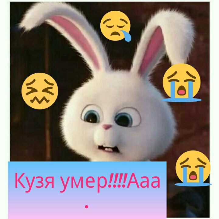 Вот что творит это преложение !!!