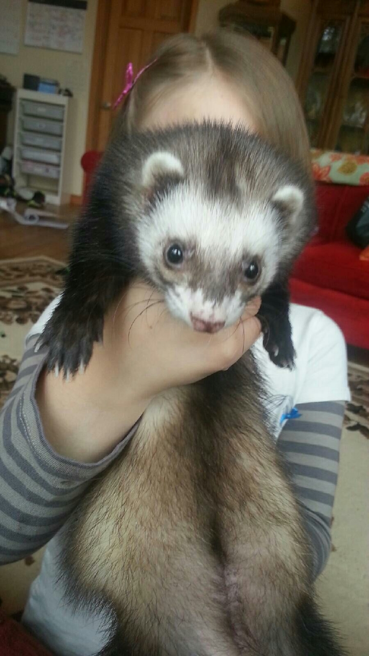 My girl Slinky