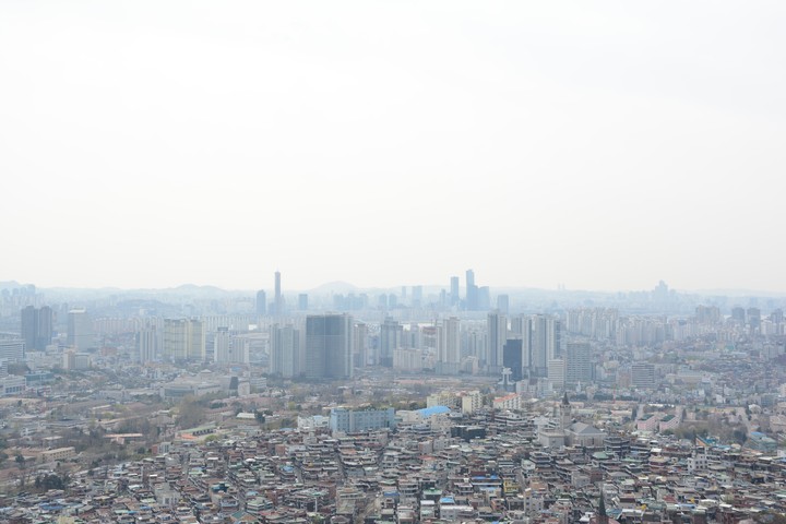 남산의봄이미지