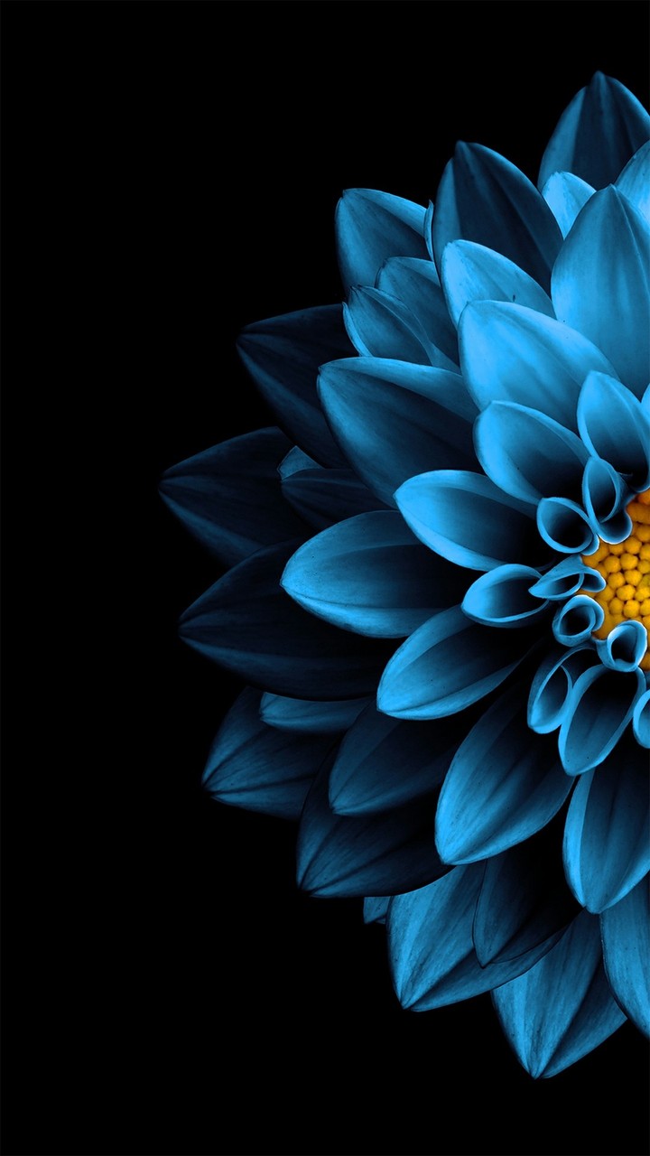 Dark Wallpaper