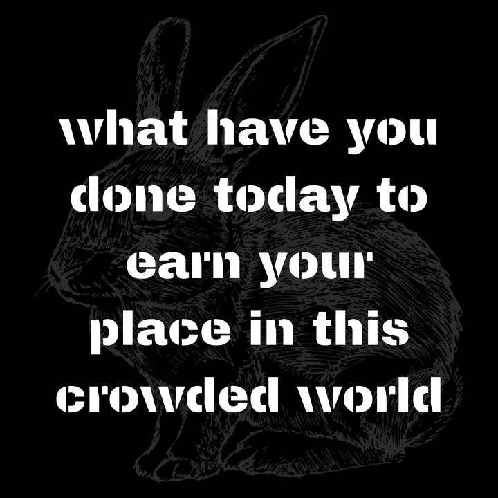 Mr. Rabbit