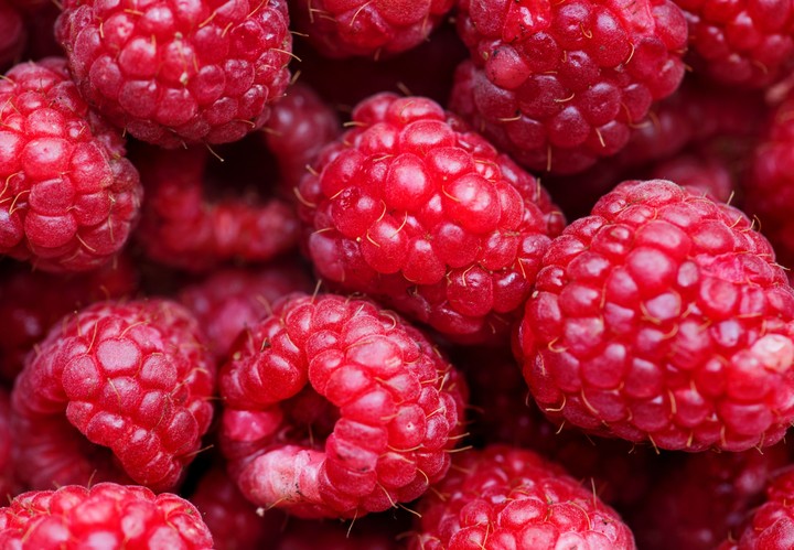 Berries