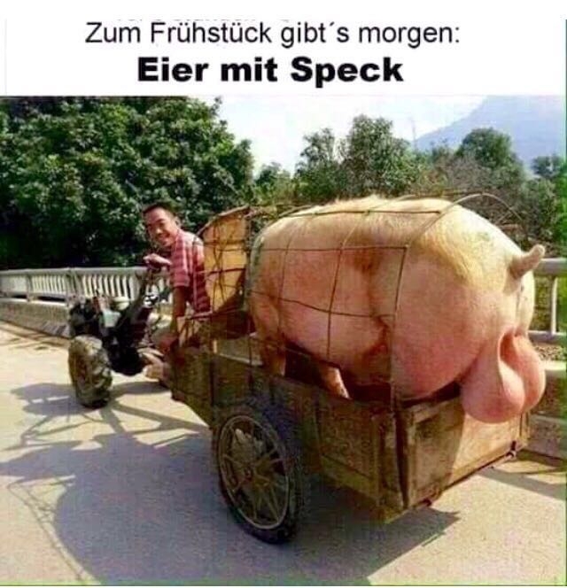 dicker  Trecker