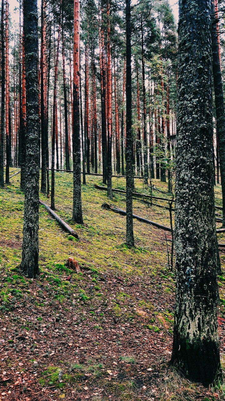 природа прекрасна