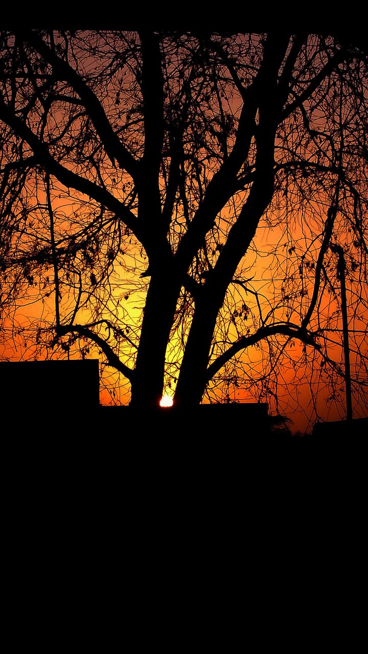 beautiful sunset