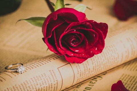 rose