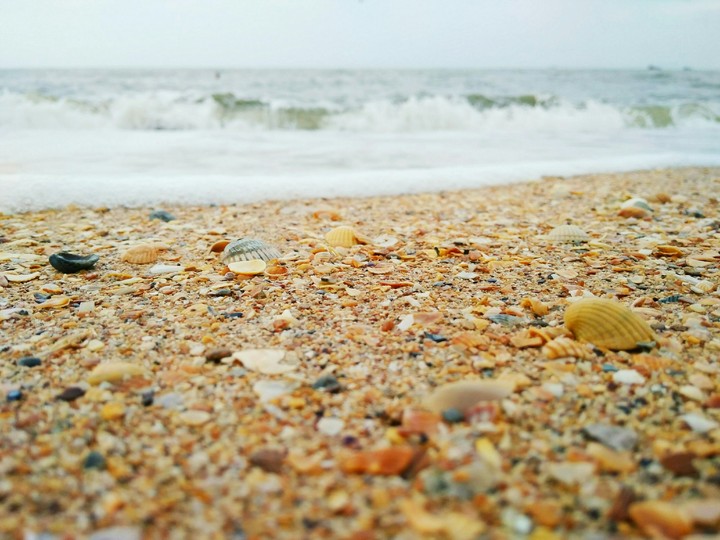 sea