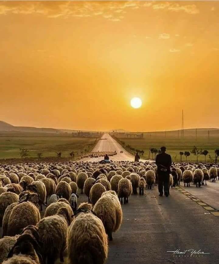 huzur eskilerde vardı