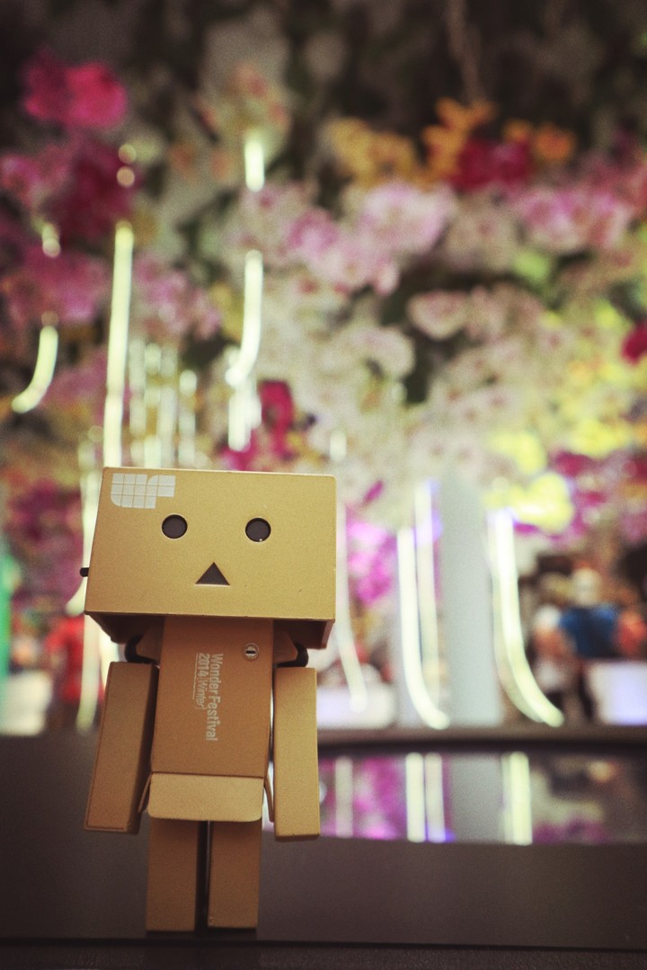 Taiwan-Taichung 花博
