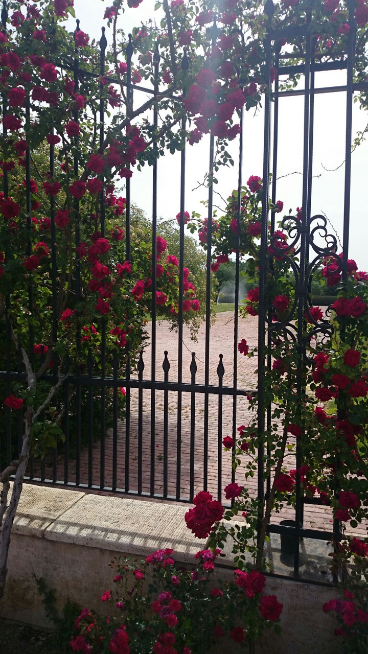 botanical garden national Iran