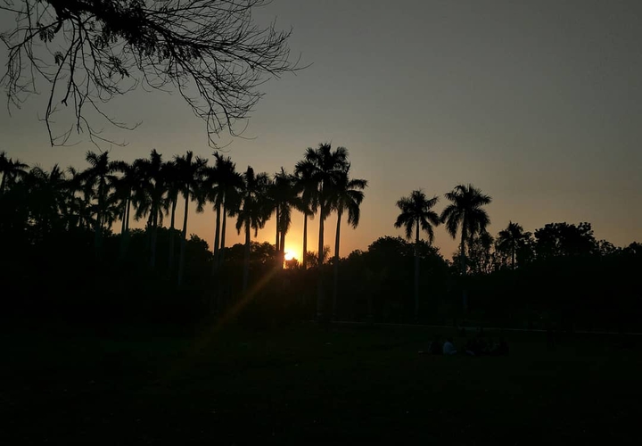 sunset view