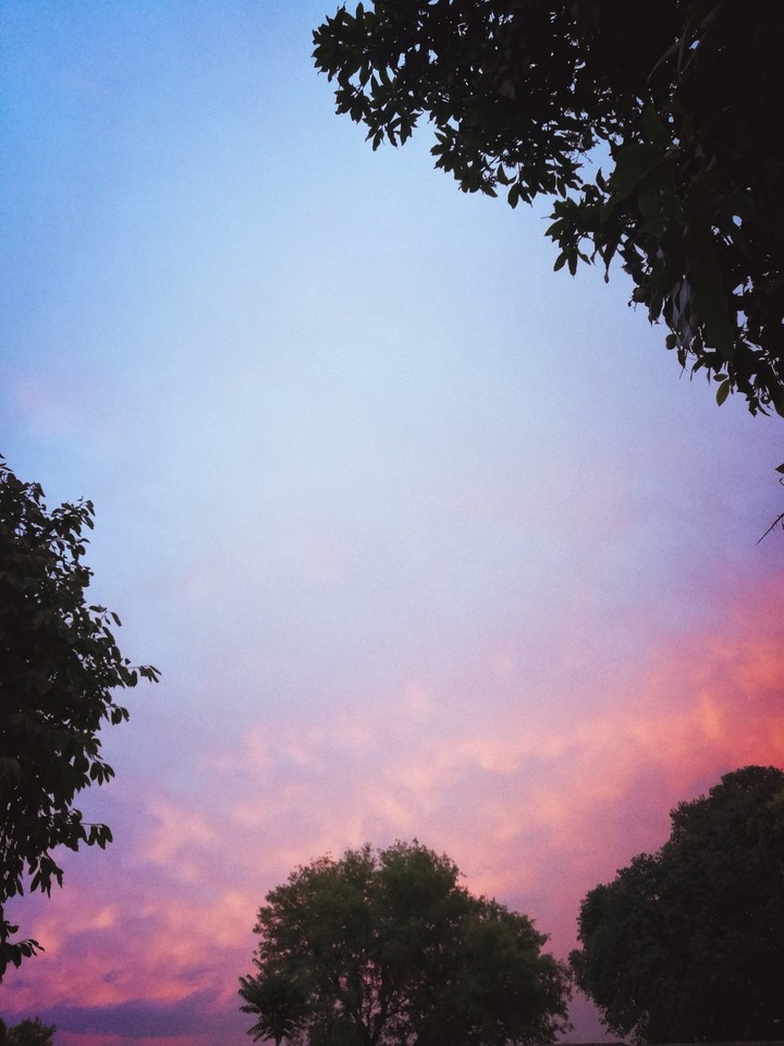 blue and pink sky after rain