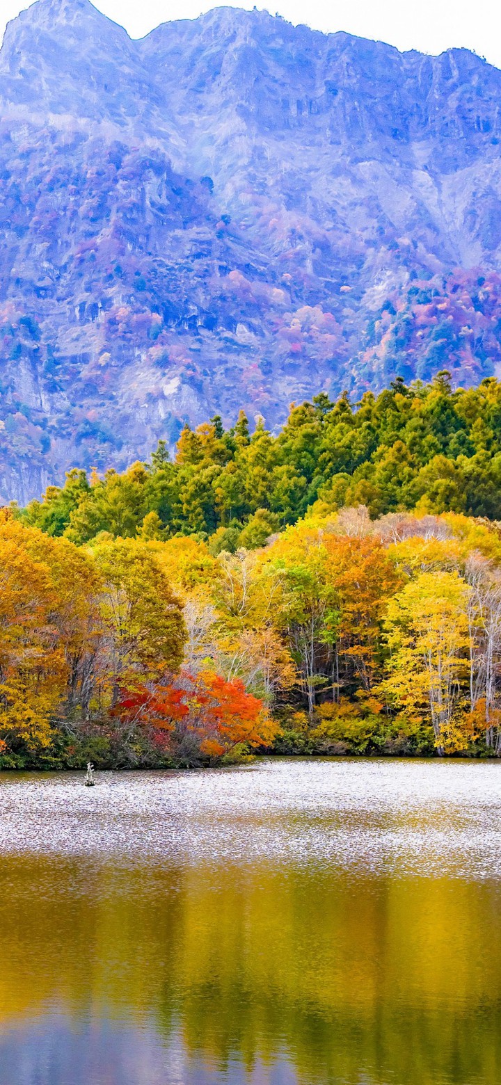 Осень