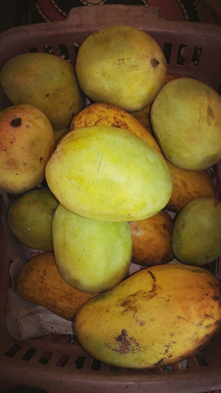 Fruits