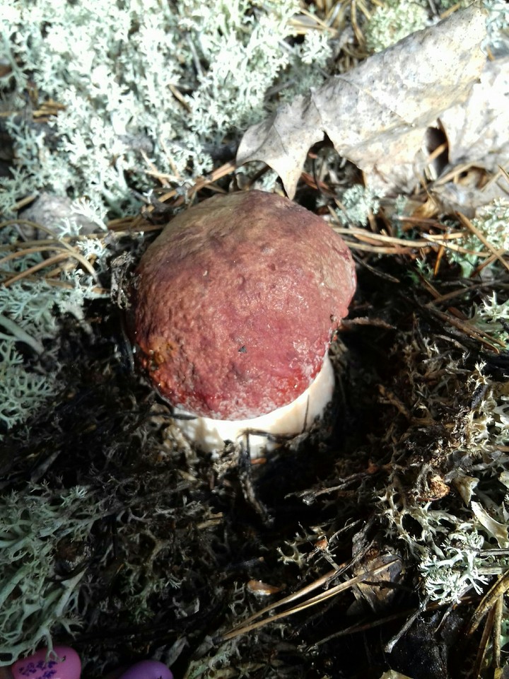 ?