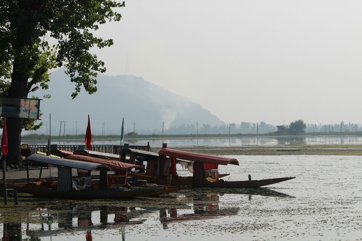 Kashmir