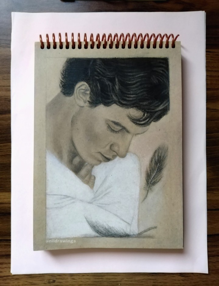 Shawn Mendes drawing
