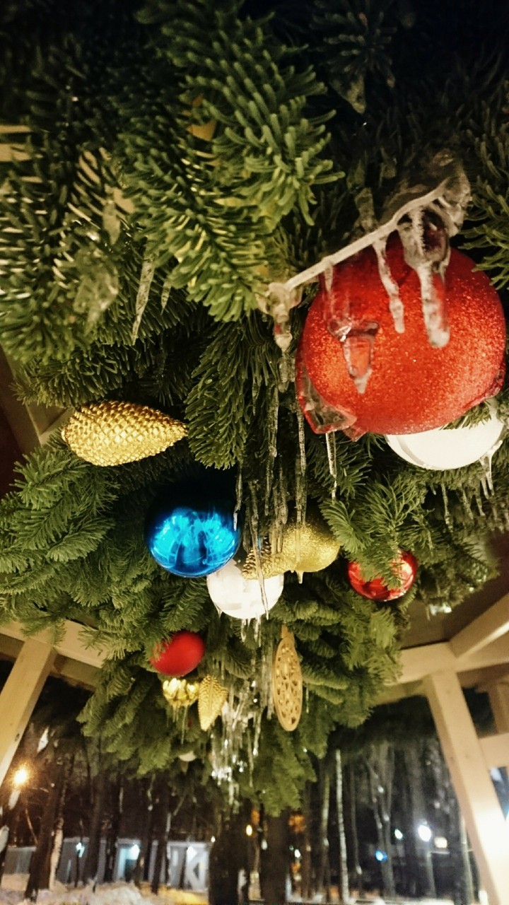 Magic Christmas atmosphere in the park
