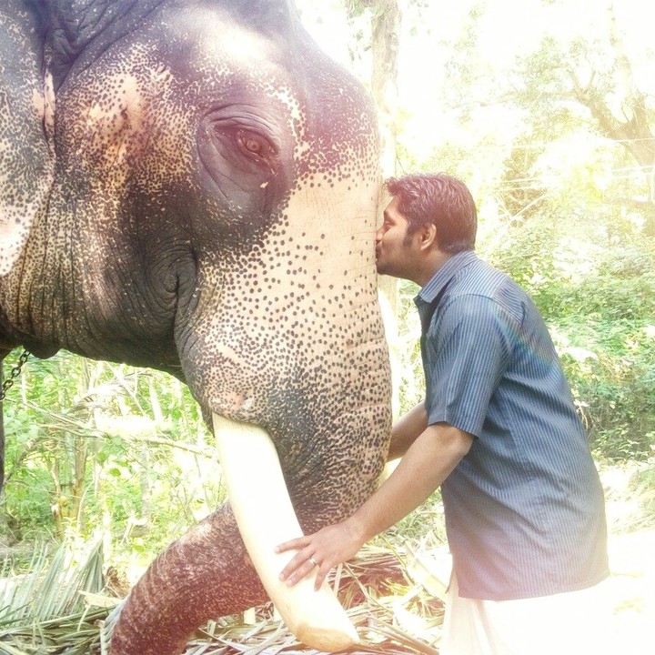 EXTRA LARGE KISS